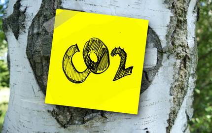 Zettel mit Aufschrift "CO2" an Baum geklebt