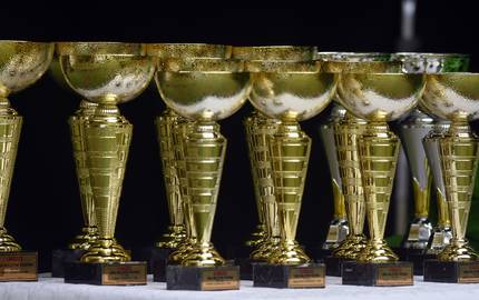 award cup 6619806 1920