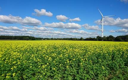 Landschaft