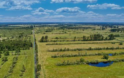 Blick auf die Moordämme im UNESCO-Biosphärenreservat Drömling am Westrand der Altmark