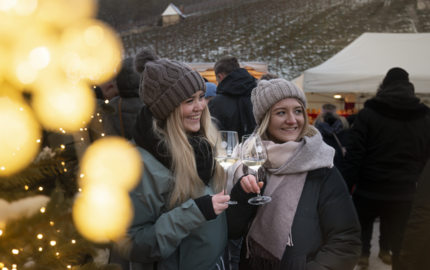 Destination Brand 24: Studie zur Wahrnehmung Sachsen-Anhalts als Urlaubsziel aus der Perspektive der Einwohner naumburg advent in den weinbergen 03