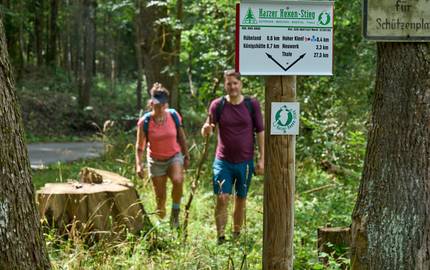 wandern auf dem harzer hexen stieg bei thale 2