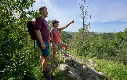 DTV und DWV begrüßen Bund-Länder-Initiative zur Reduzierung von Haftungsrisiken bei Wanderwegen Wandern auf dem Harzer Hexen-Stieg bei Thale