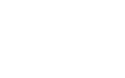 cropped Viethoga Logo Color negativ RGB