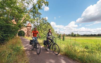Ihre Expertise zählt: Umfrage zum Fahrradtourismus elberadweg dessau sieglitzer berg burgtor c tvssw felix meyer cc0 2