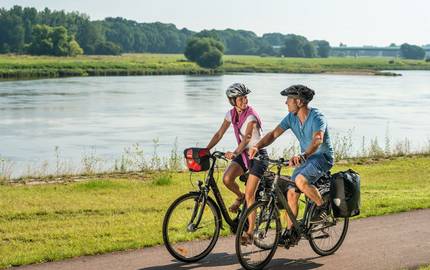 Elberadweg bei Magdeburg ©MD TV Elbe Börde Heide Dominik Ketz