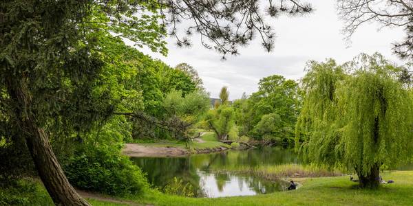 schillerpark in dessau ro lau