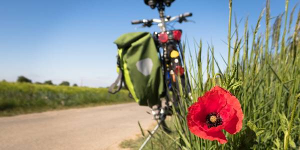 Fahrrad mit Tasche am Wegrand und Mohnblume