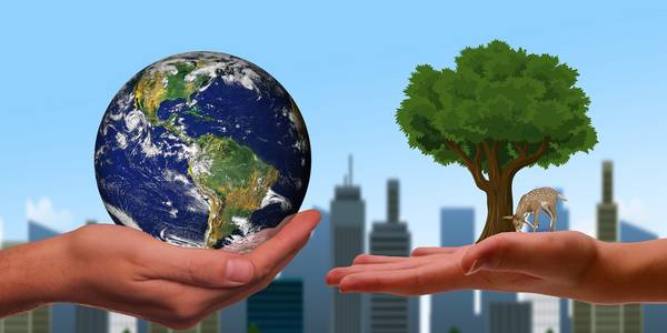 Zwei Hände halten die Erde und einen Baum vor der Kulisse einer Stadt.