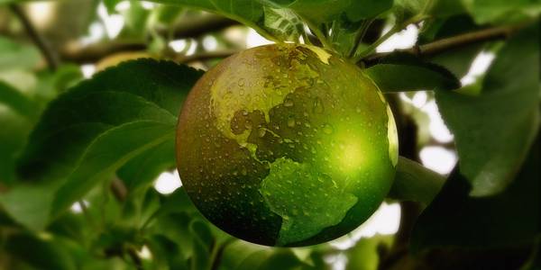 grüner Apfel mit Weltkugel