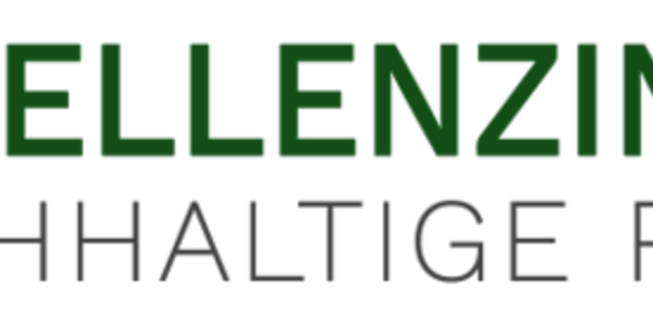 Logo Exzellenzinitiative