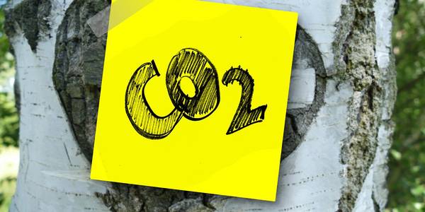 Zettel mit Aufschrift "CO2" an Baum geklebt