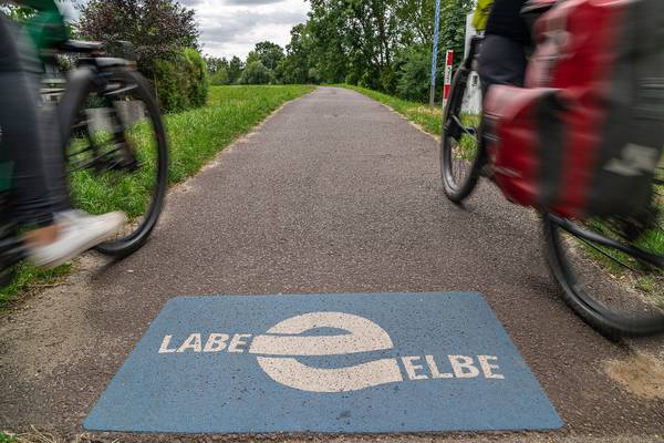 Elberadweg Goes Future: Vor-Ort-Befragungen und Zählungen starten elberadweg deich prester md maximilian semsch