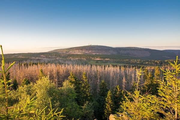 Harz Waldsterben Brocken Seaq68 pixabay