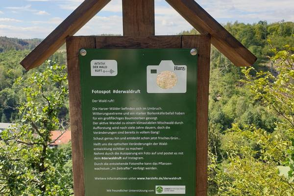 Fotospot Verlobungsurne bei Alexisbad Landesforstbetrieb Sachsen Anhalt