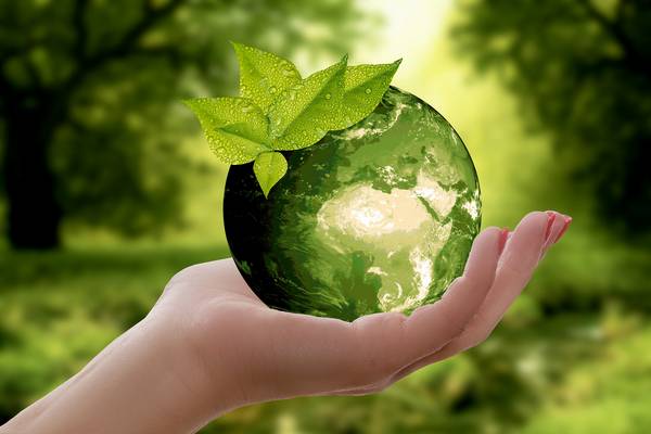 Nachhaltigkeit annca pixabay ©annca pixabay