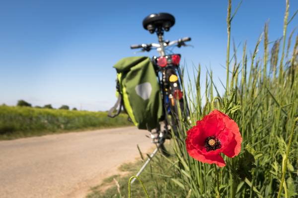 Fahrrad mit Tasche am Wegrand und Mohnblume