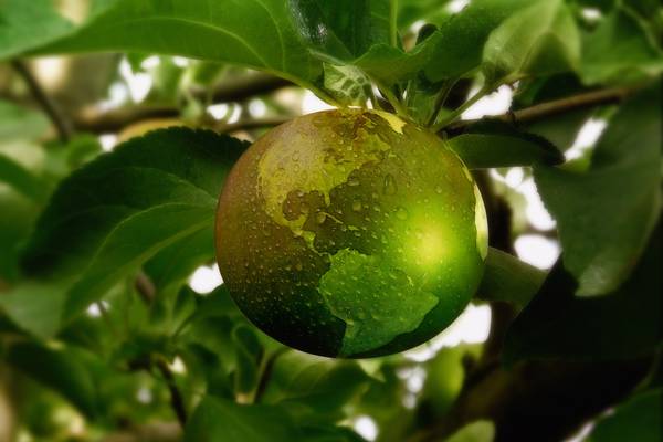Baum mit Apfel als Weltkugel