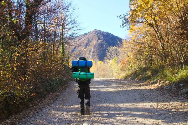 Wanderer mit Gepäck im Wald