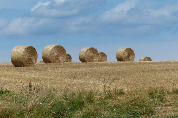 Strohballen auf einem Feld