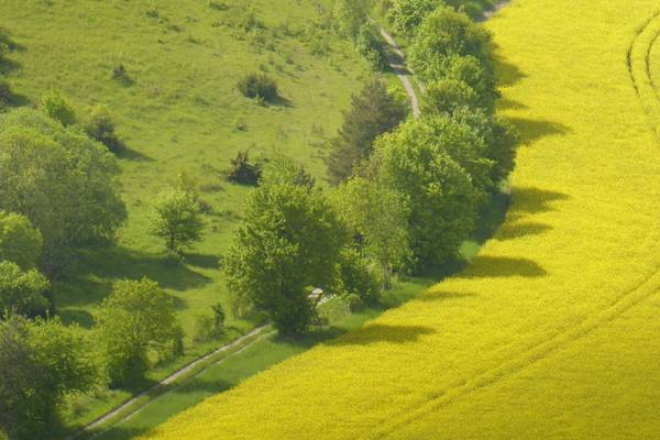 Blick auf Grünes Band