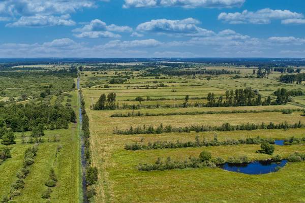 Blick auf die Moordämme im UNESCO-Biosphärenreservat Drömling am Westrand der Altmark