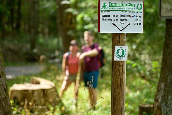 Wandern auf dem Harzer Hexen-Stieg bei Thale