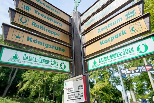 DWV und DTV drängen auf Reform des Bundeswaldgesetzes wandern auf dem harzer hexen stieg bei thale 1