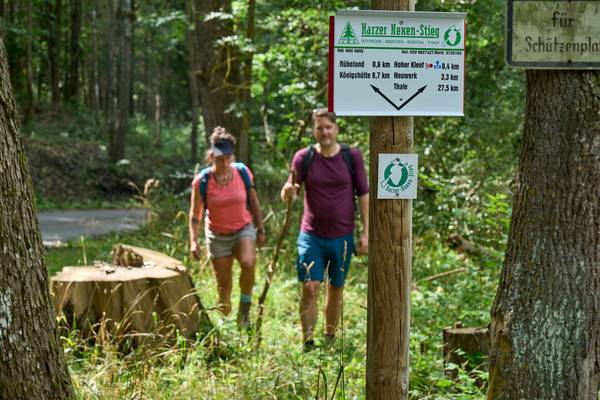 WaldWegweiser jetzt online wandern auf dem harzer hexen stieg bei thale 2