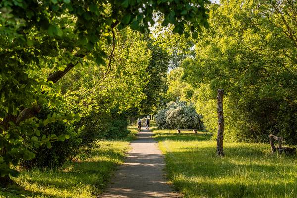 Eine Million Euro für den ländlichen Tourismus: Airbnb und DTV starten gemeinsamen Förderfonds Naturerlebnispfad Haldensleben